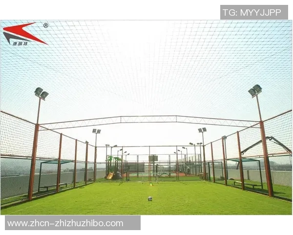 网式足球的魅力与发展探讨:如何在新时代中重塑这项运动的未来 网式足球的魅力与发展探讨:如何在新时代中重塑这项运动的未来